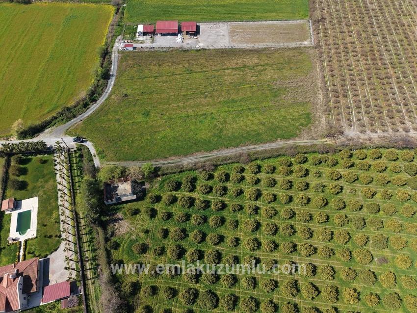 17.550m2 Vineyard-bahce For Sale Close To Dalyan Center