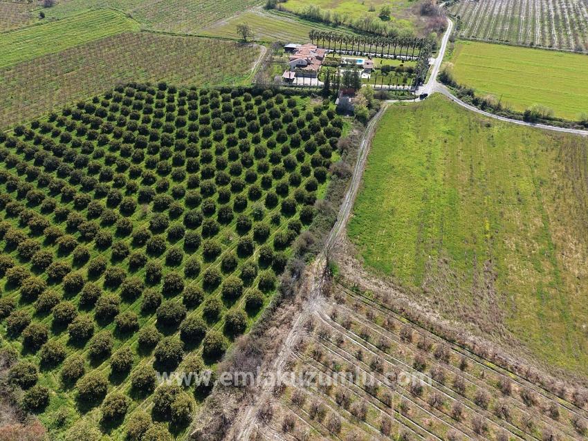 17.550m2 Vineyard-bahce For Sale Close To Dalyan Center