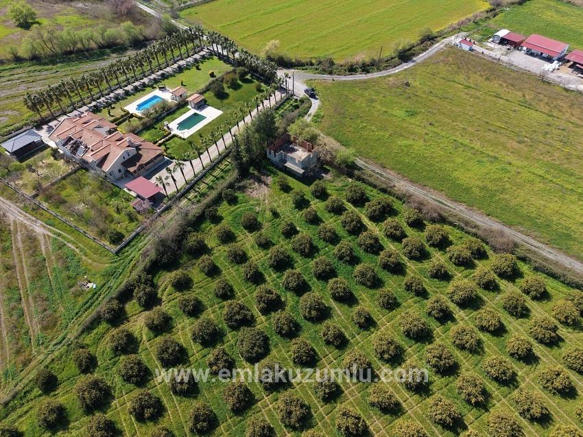 17.550m2 Vineyard-bahce For Sale Close To Dalyan Center