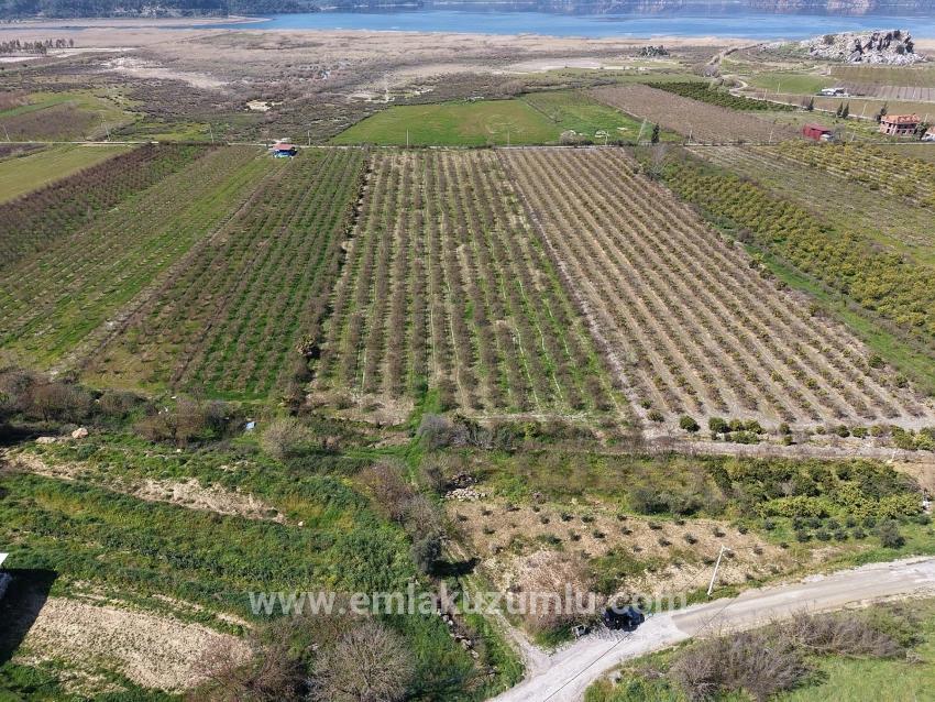 16.710m2 Pomegranate Garden For Sale With Lake View In Eskiköy