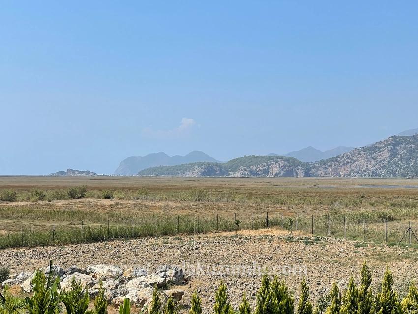 Luxury 4+1 Villa For Sale On A 7000m2 Plot With Dalyan Iztuzu Beach View