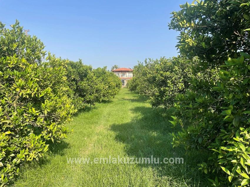 722m2 Land For Sale In Dalyan Gülpınar