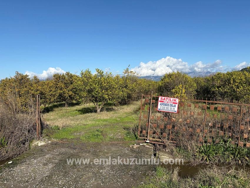 23,000 M² Detached Land For Sale In Tepearası.
