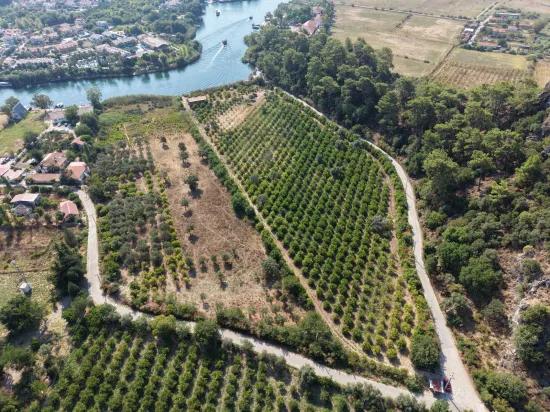 Village of Köyceğiz Çandır Neighbourhood with zero channel 20,000m2 for sale land