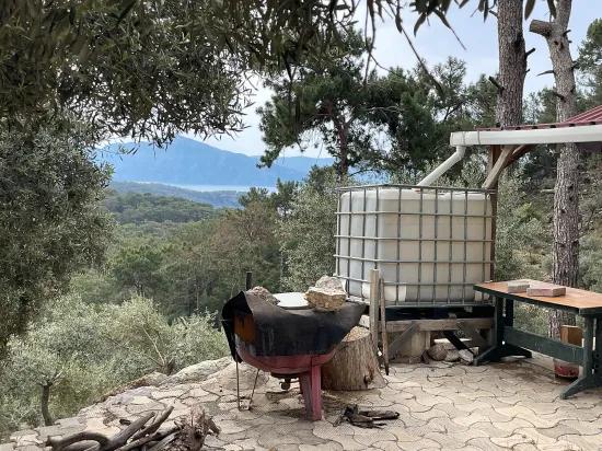 Köyceğiz Ekincik sea view 7.000m2 2b for sale olive grove