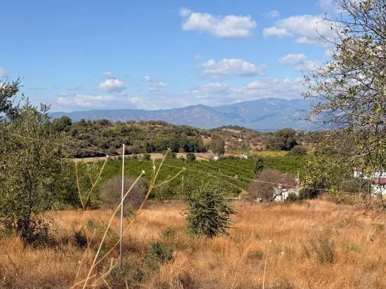 Field for sale, 5.000m2, with lake view In Dalyan, Karadağ