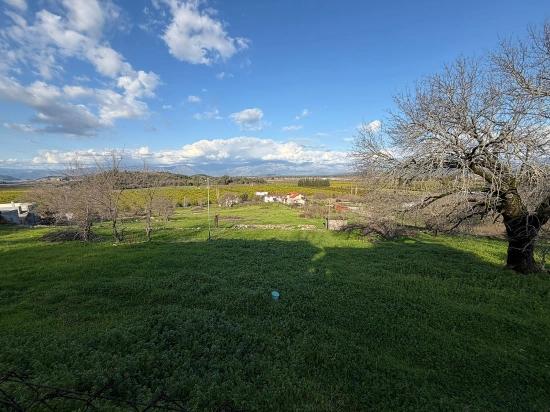 11,230 M² Plot Of Land For Sale In Dalyan With Lake View.