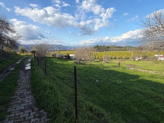 11,230 M² Plot Of Land For Sale In Dalyan With Lake View.