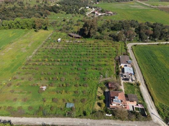 Tourism-oriented Business For Sale On An 11,000 M2 Plot Of Land In Eskiköy.