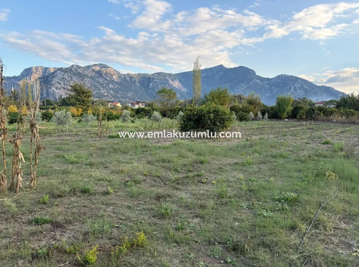 7,450M2 Land For Sale Close To The Center Of Dalyan