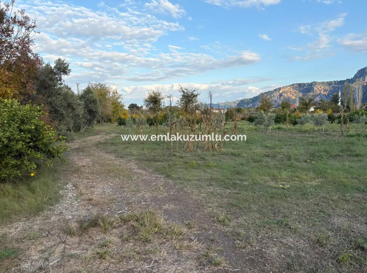 7,450M2 Land For Sale Close To The Center Of Dalyan