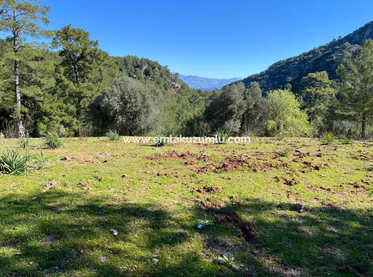 Land For Sale In Nature And Forest In Gökbel