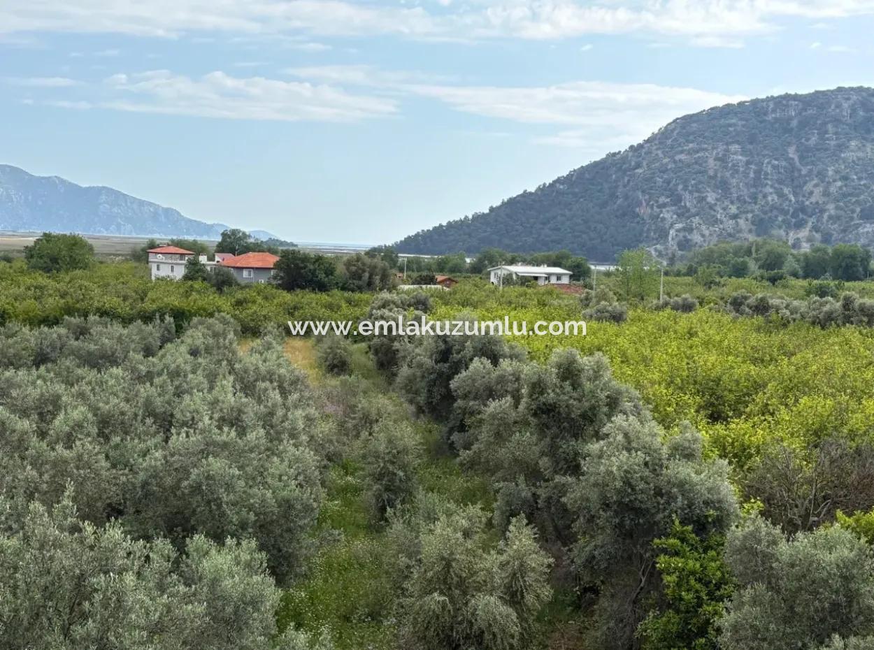 1,721M2 Land For Sale In Çandır Village With Sea And Lake Views