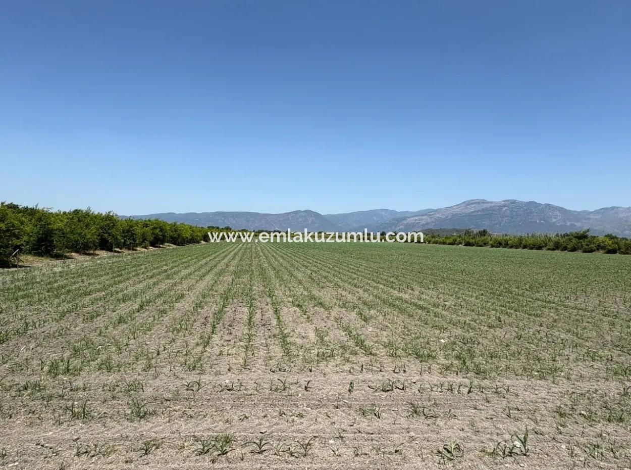 46,550M2 Land For Sale In Tepearası