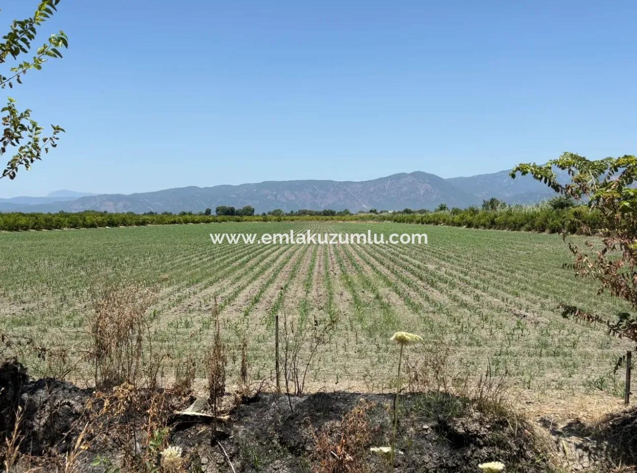 46,550M2 Land For Sale In Tepearası