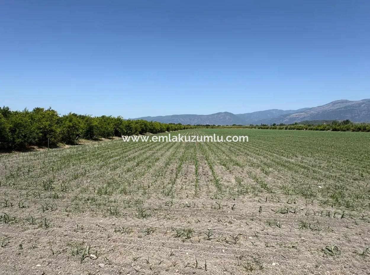 46,550M2 Land For Sale In Tepearası