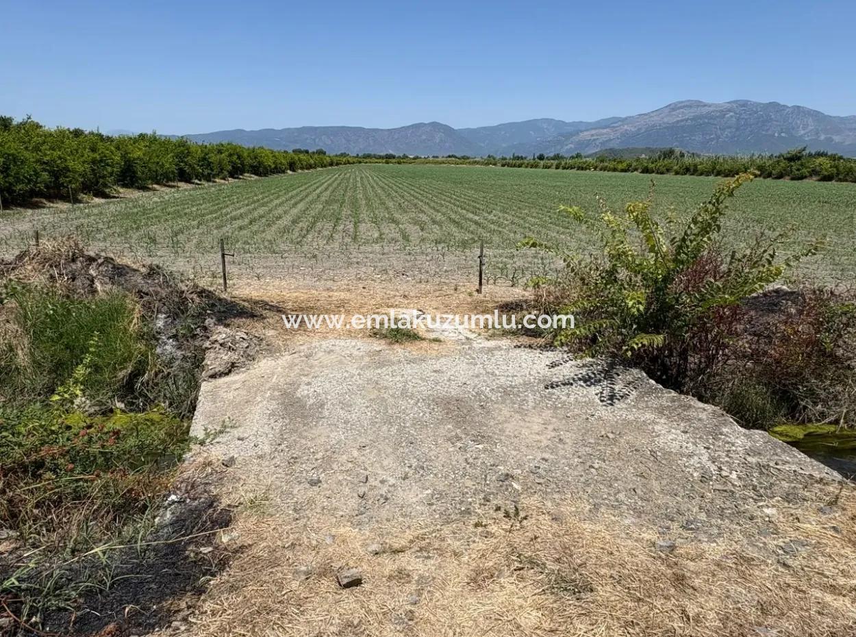 46,550M2 Land For Sale In Tepearası