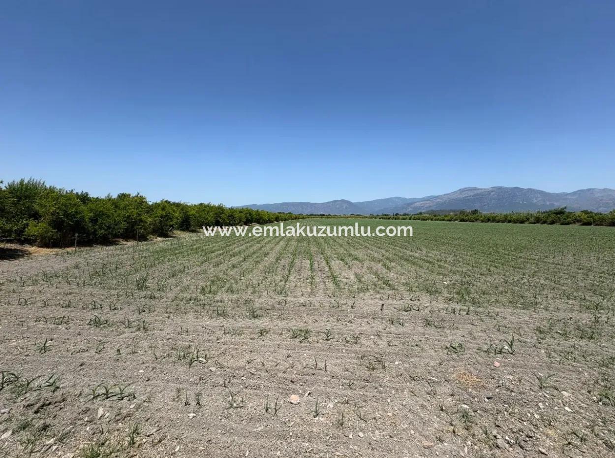 46,550M2 Land For Sale In Tepearası