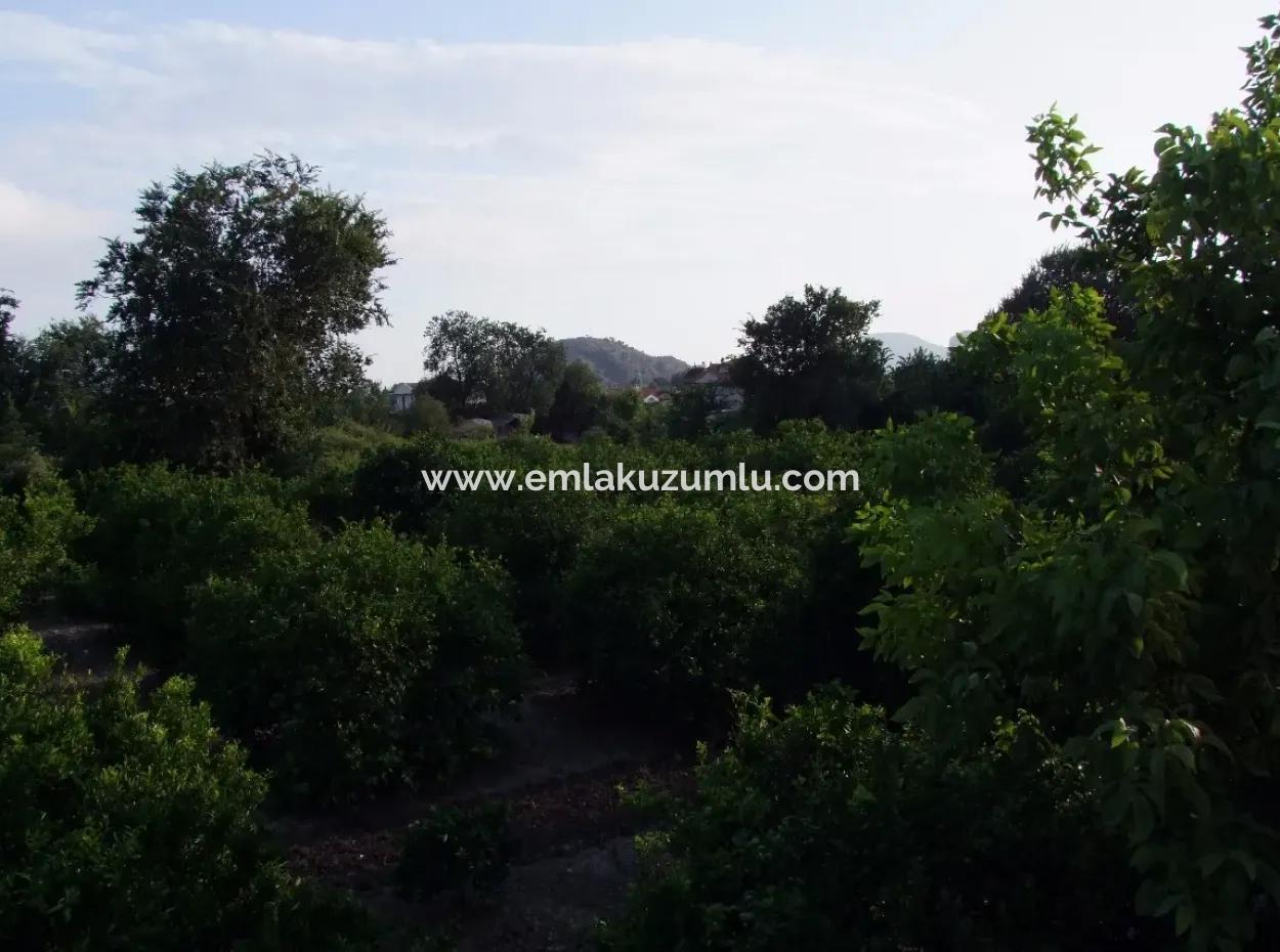Near The Centre Of Dalyan In Dalyan Plot For Sale For Sale 987M2