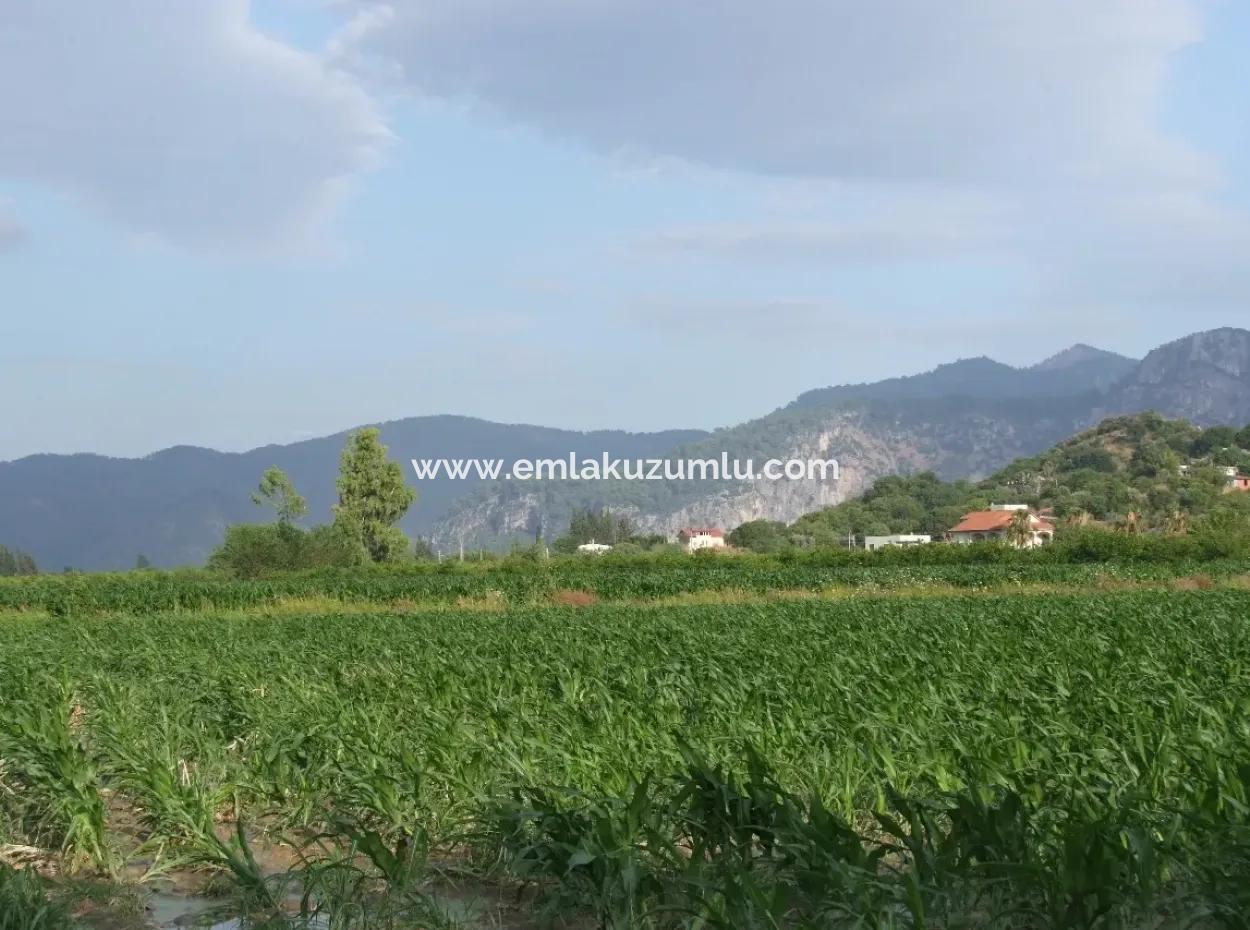 Farm For Sale Near The Centre Of Dalyan,14, 612M2 Farm For Sale