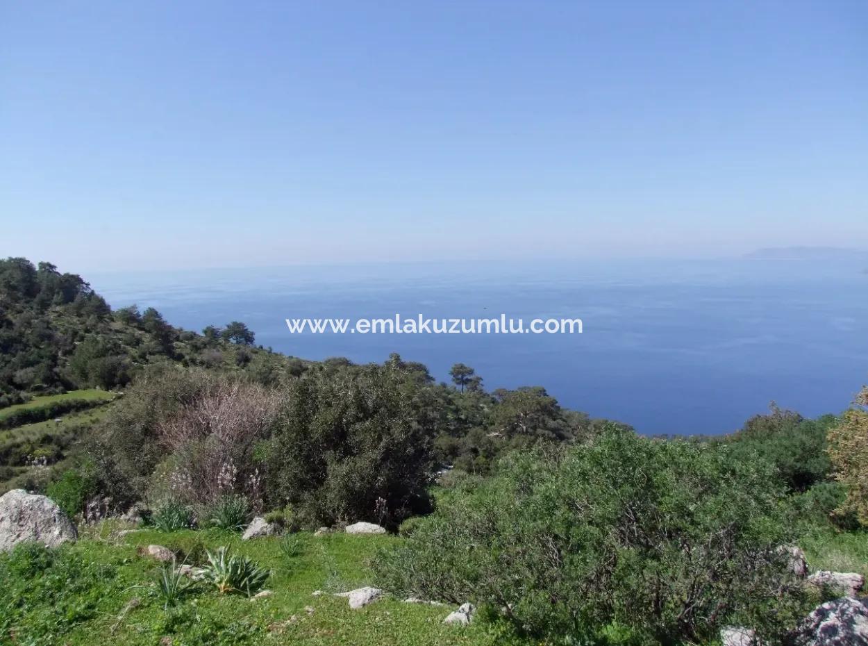For Sale In Faralya Faralya With Sea View And 11,286M2 Land For Sale Tourism