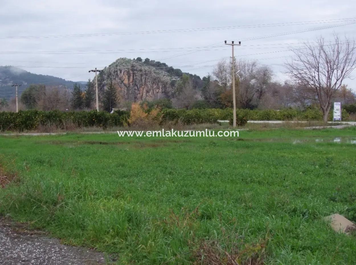 Gulpinar Dalyan Dalyan For Sale In 1002M2 Plot For Sale For Sale Cornerstone