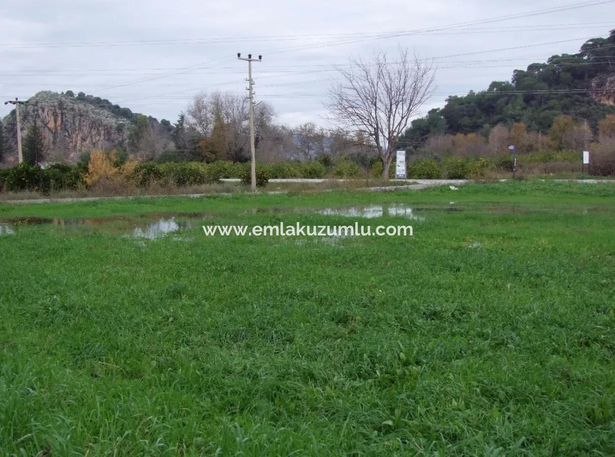Gulpinar Dalyan Dalyan For Sale In 1002M2 Plot For Sale For Sale Cornerstone