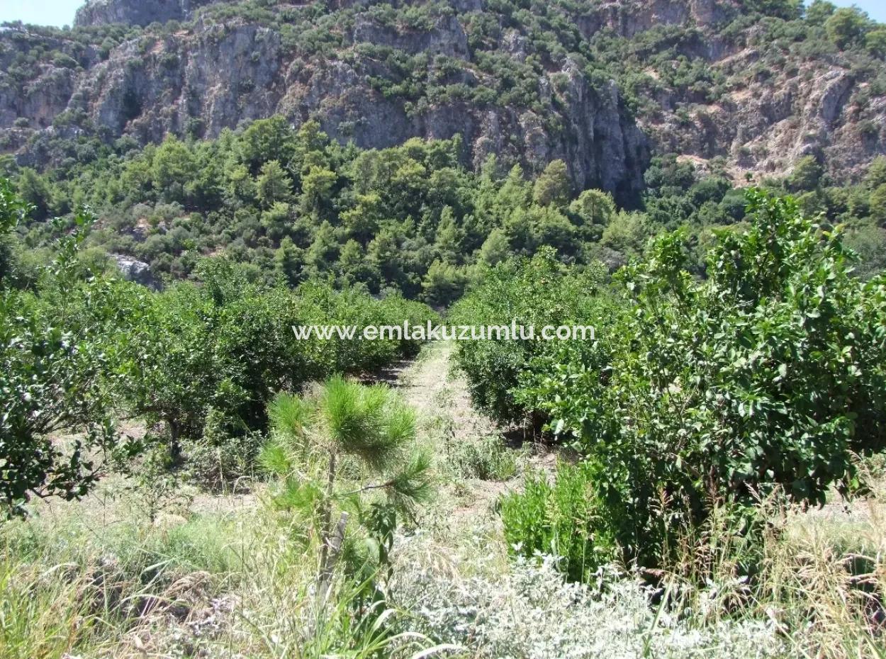 In Dalyan Plot For Sale In Channel Zero