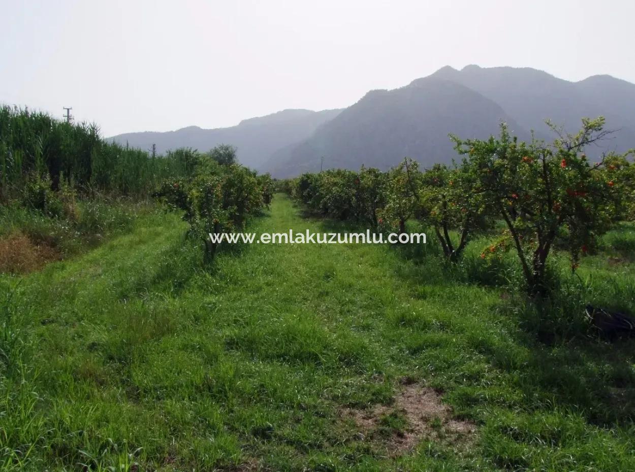 Merkez Dalyan Iztuzu Lake Garden Villa For Sale