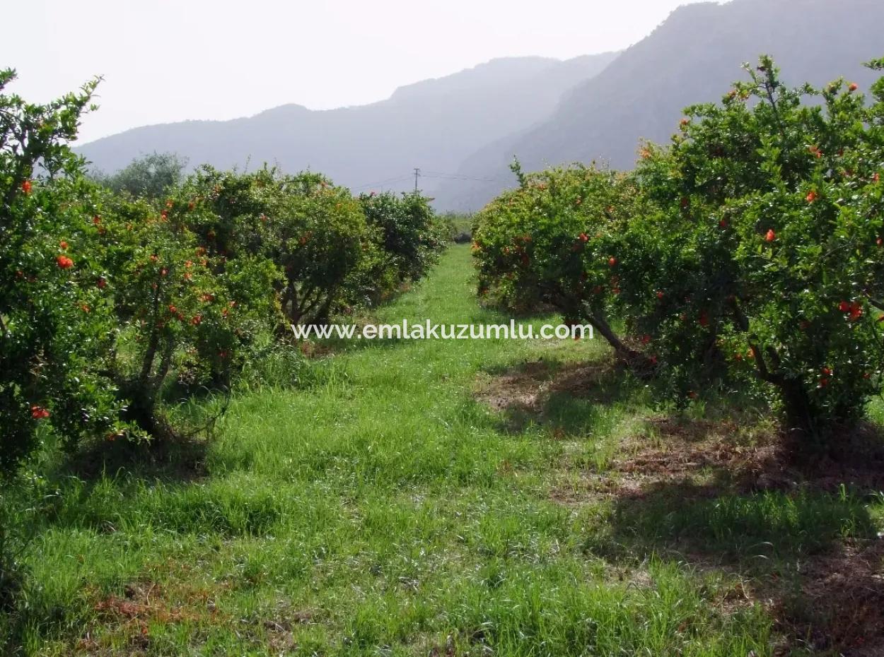 Merkez Dalyan Iztuzu Lake Garden Villa For Sale