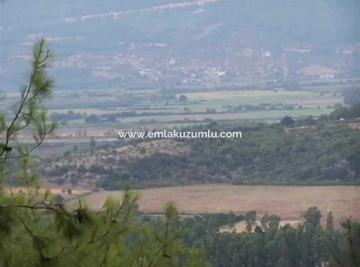 Gökçe Gökçe 21671M2 Farm For Sale For Sale