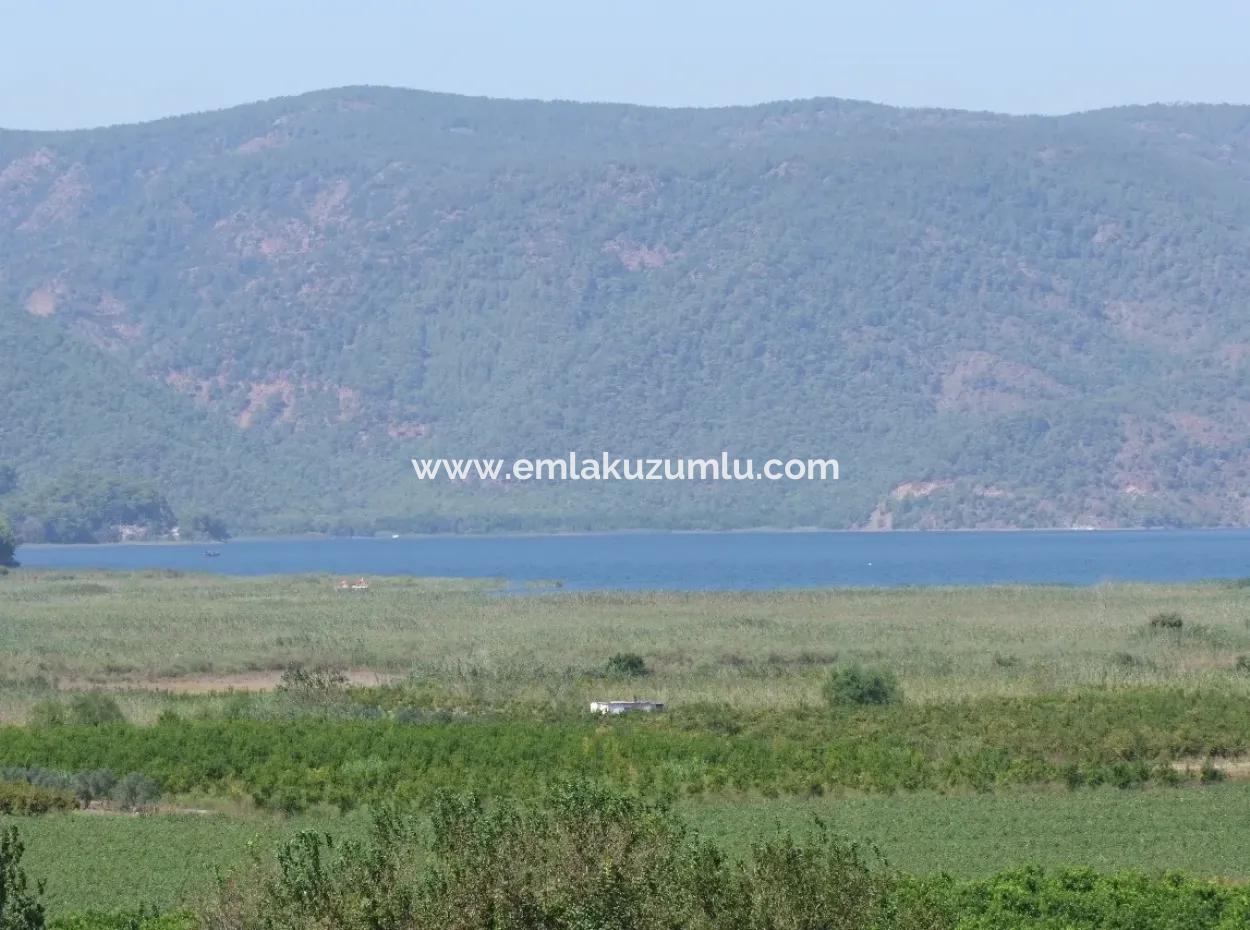 For Sale Farm For Sale In Dalyan 73410M2