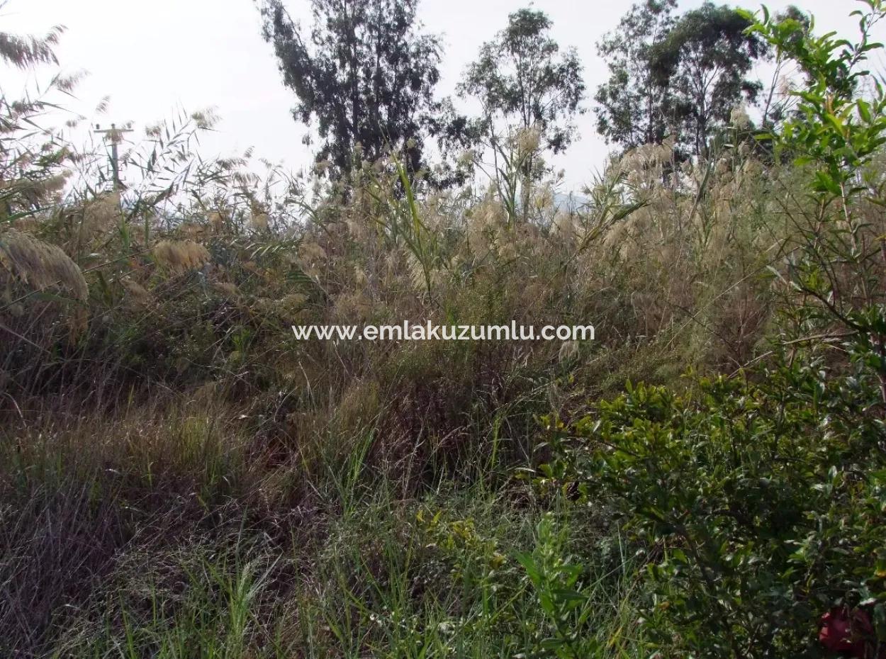 For Sale Land In Dalyan For Sale Dalyan Channel Zero