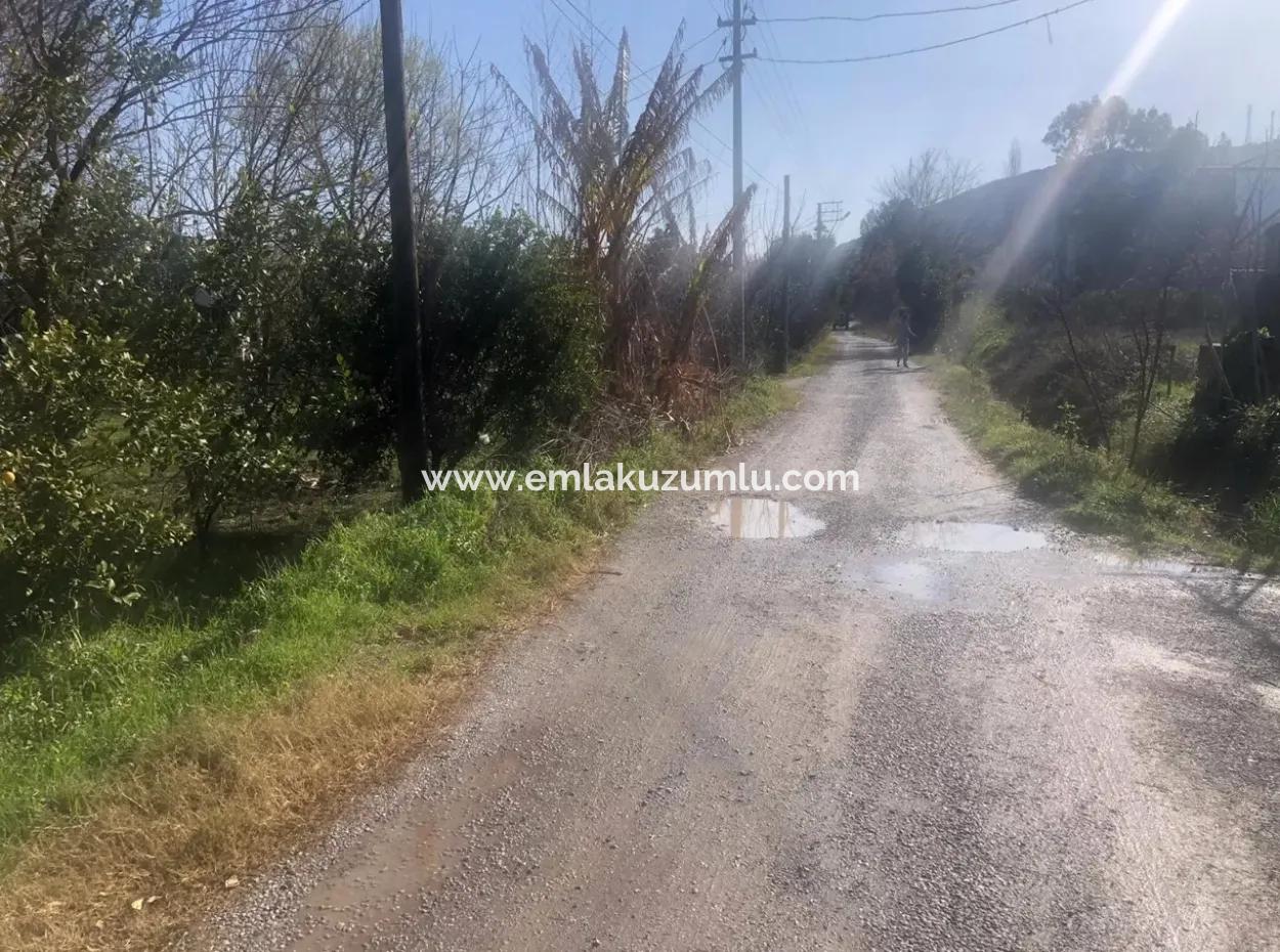 Raiders 803M2 Land For Sale In Plot For Sale