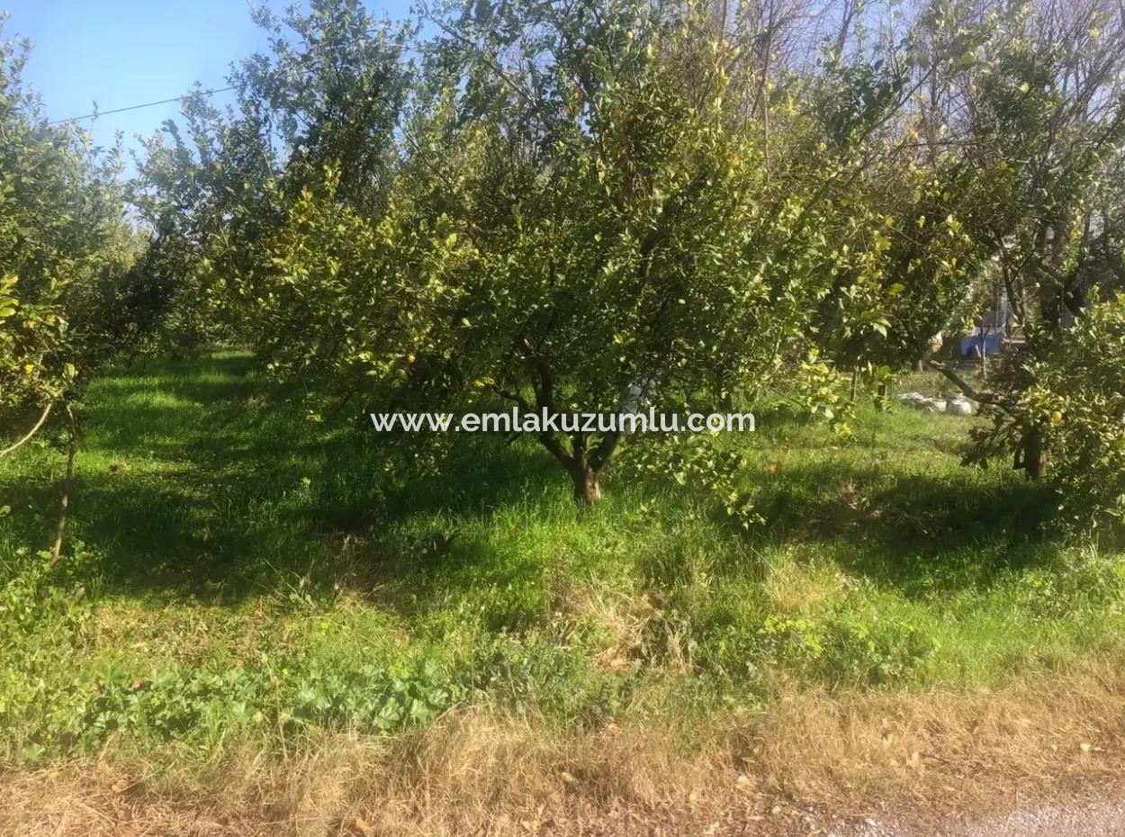 Raiders 803M2 Land For Sale In Plot For Sale