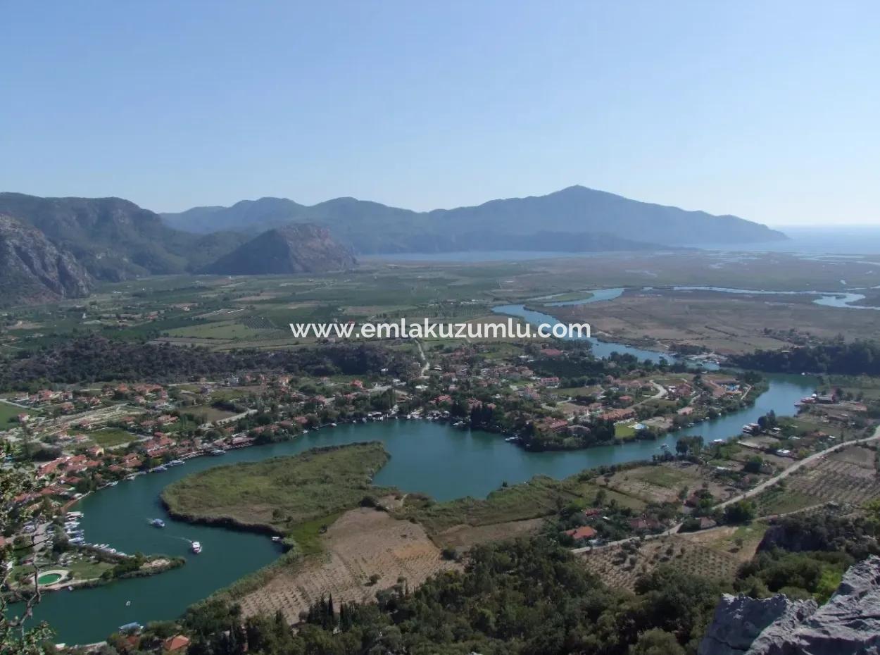Maras In Dalyan For Sale Dalyan 7300M2 %5 Land Plot For Sale