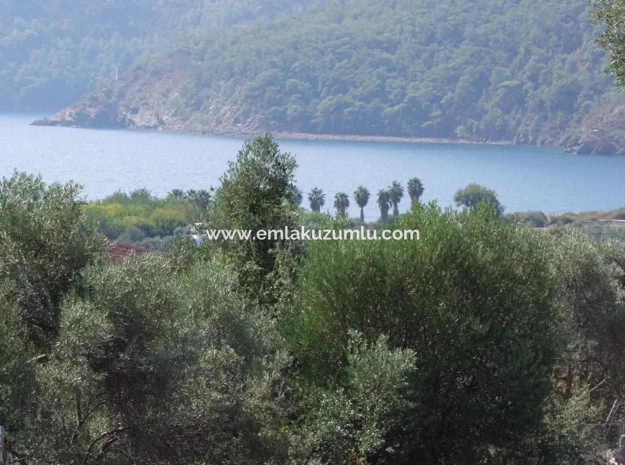 For Sale In Ekincik 5,391M2 Plot For Sale