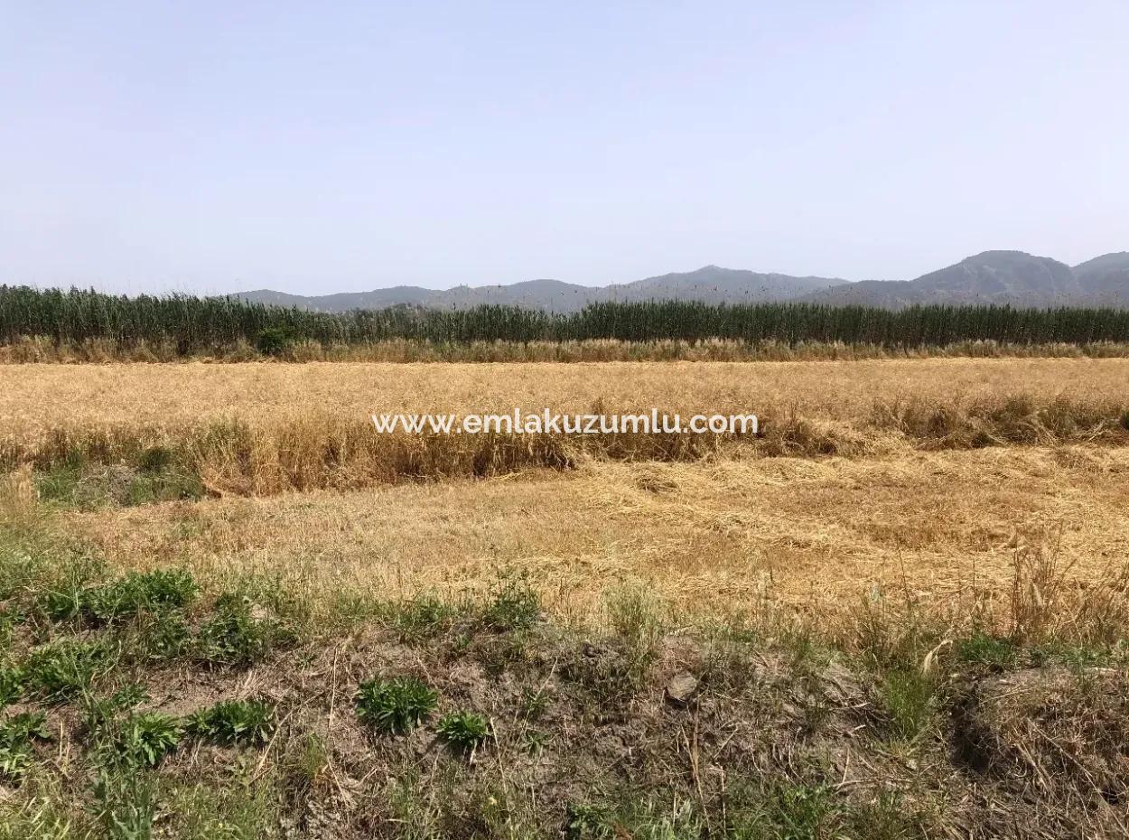 Farm Land For Sale 39 Acres In Eskikoy