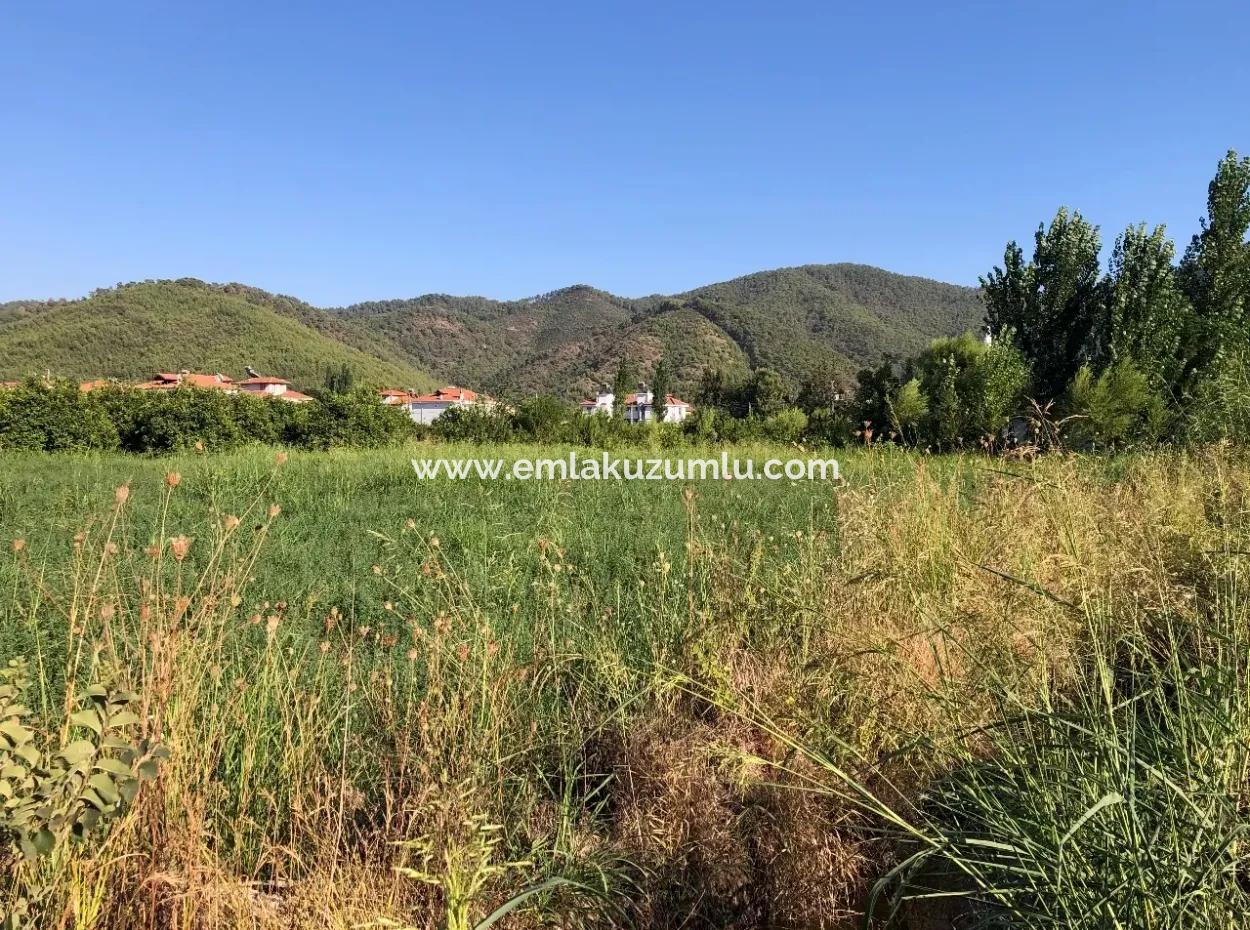 Land For Sale In The Center 891M2 Land For Sale