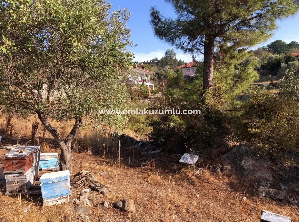 Gökbel Land For Sale 1000M2 Land For Sale With Sea Views