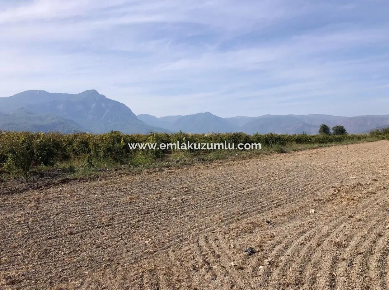 Land For Sale In Esköy 8500M2 Field Land For Sale