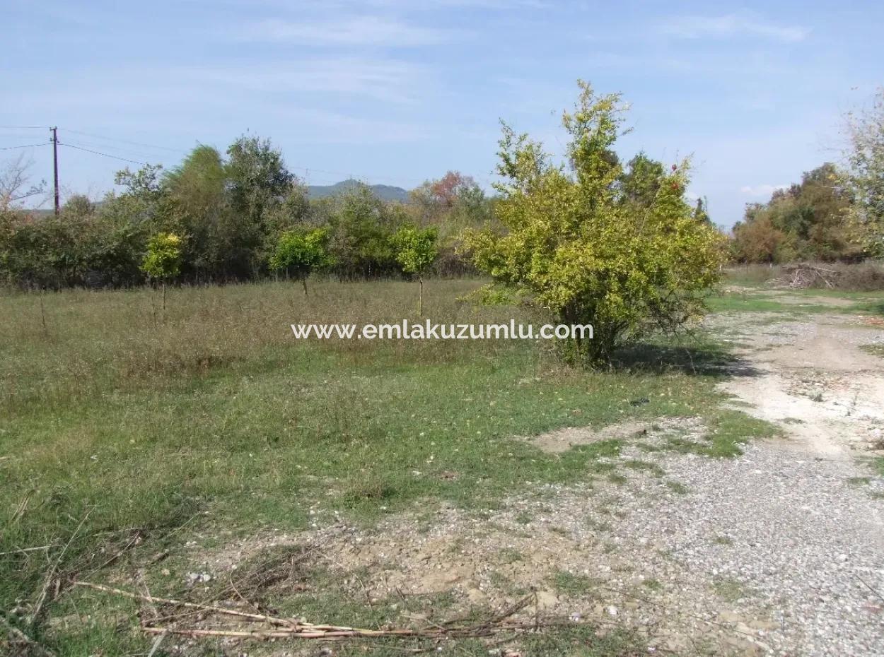 Land For Sale In Guzelyurt Land For Sale Zero 5515M2 Land For Sale On The Main Road