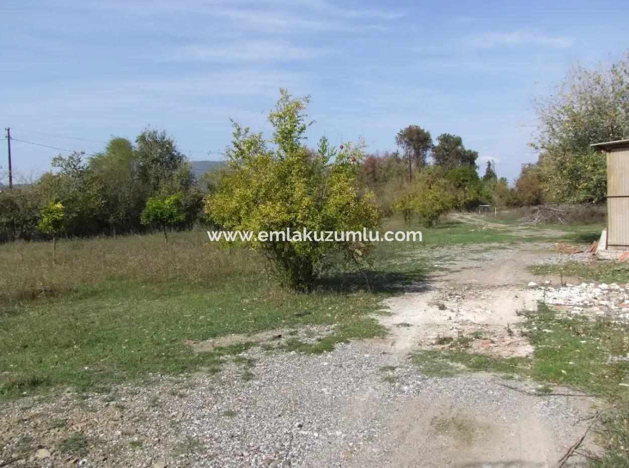 Land For Sale In Guzelyurt Land For Sale Zero 5515M2 Land For Sale On The Main Road