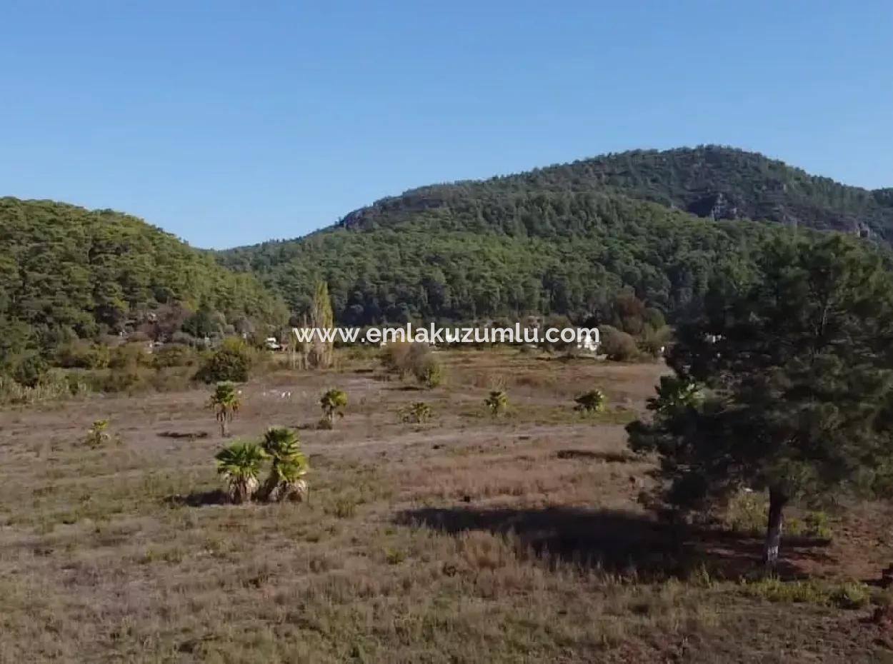 Land Land For Sale In Çamlıda Marmaris Çamlıda Sea View 11720M2 Land For Sale