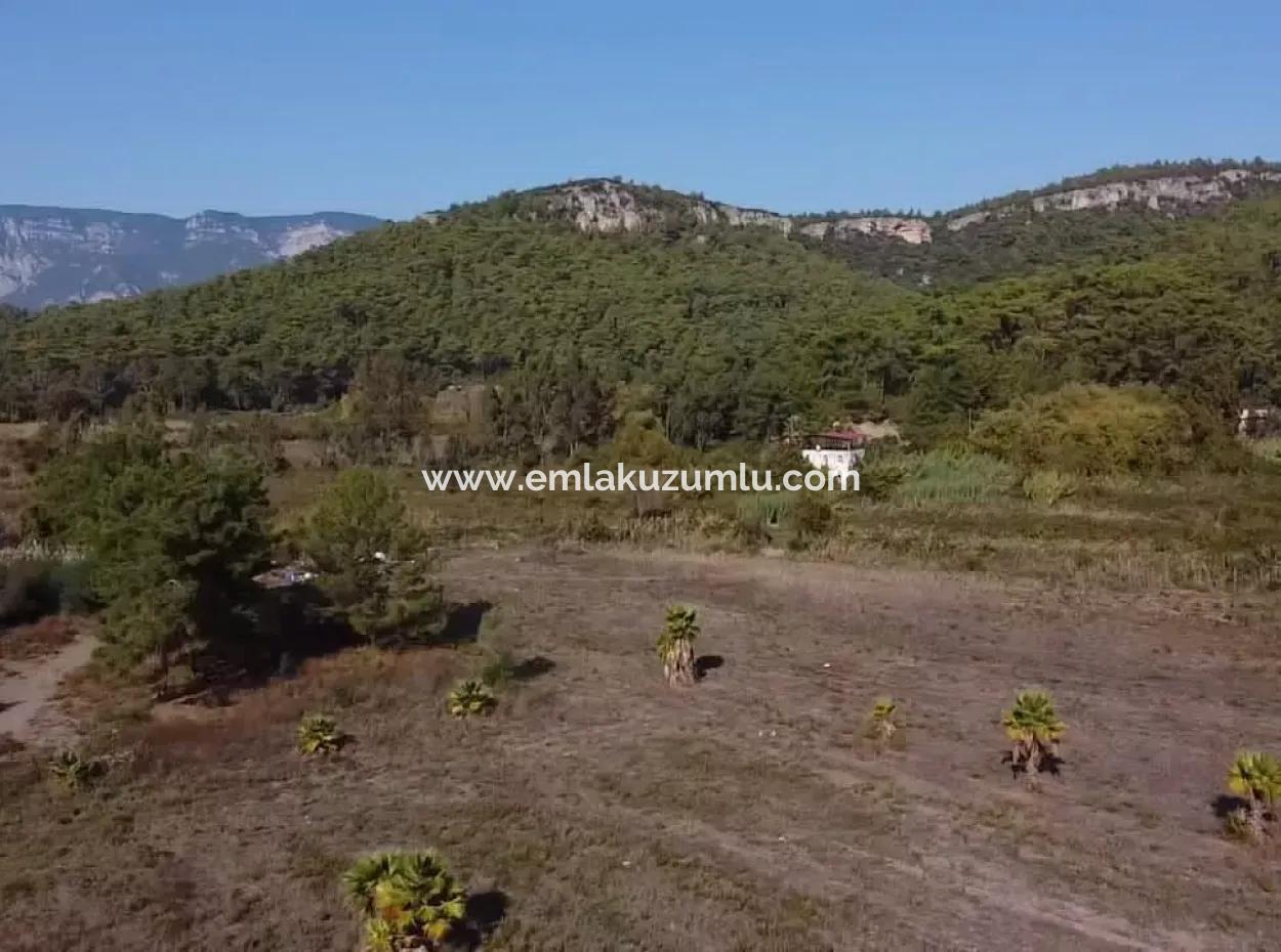 Land Land For Sale In Çamlıda Marmaris Çamlıda Sea View 11720M2 Land For Sale