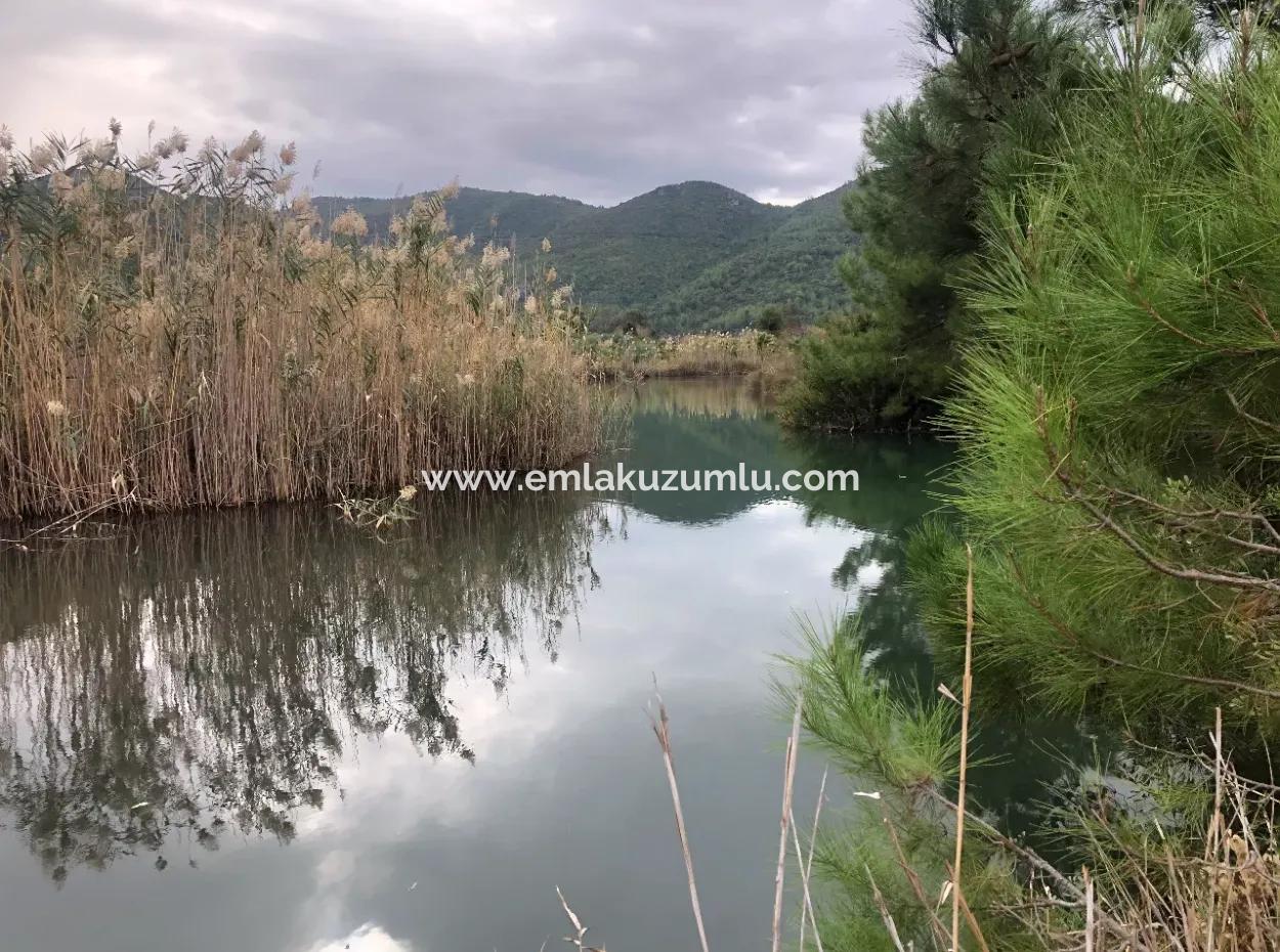 Land  For Sale Zero To Çamlı Canal 28768M2 Land For Sale With Sea View In Camlida