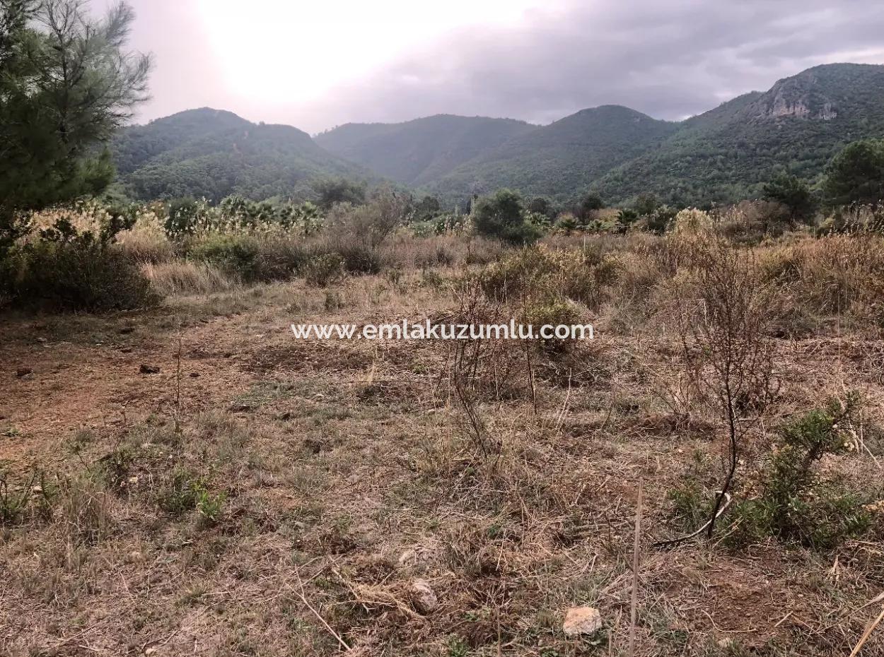 Land  For Sale Zero To Çamlı Canal 28768M2 Land For Sale With Sea View In Camlida