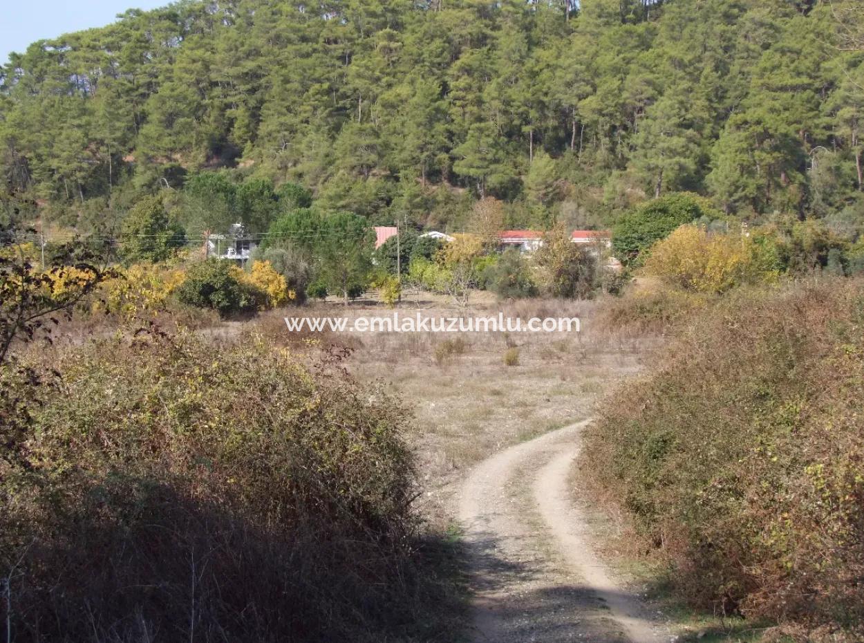 6850M2 Zoning Land With Sea View In Çamlı