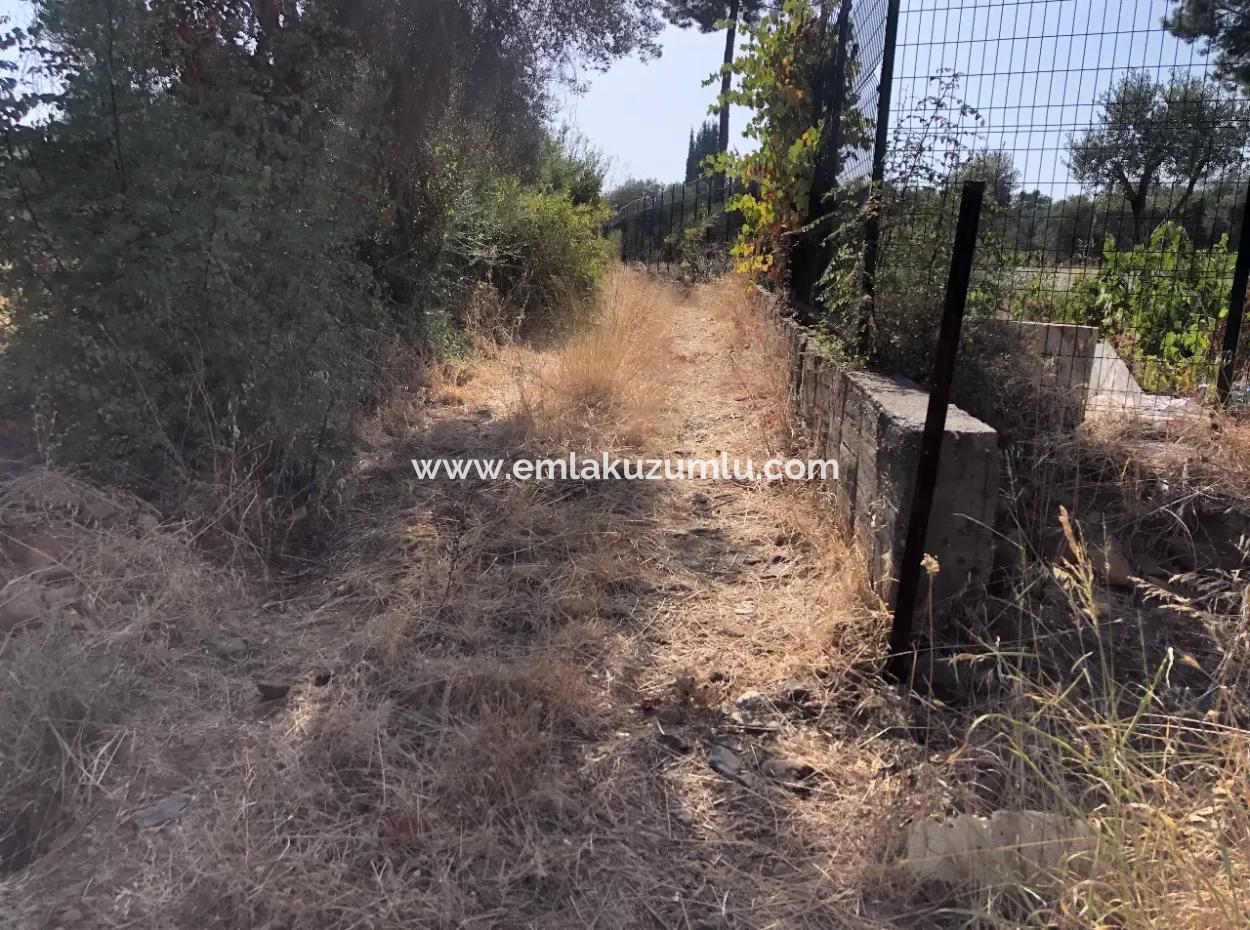 Land Field For Sale In Köyceğinz Yangi 9406M2 Land For Sale