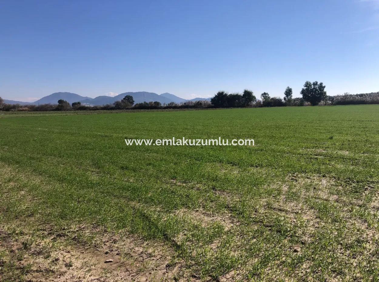 Land For Sale In Sarıgermede 30,000M2 Land For Sale With Sea View